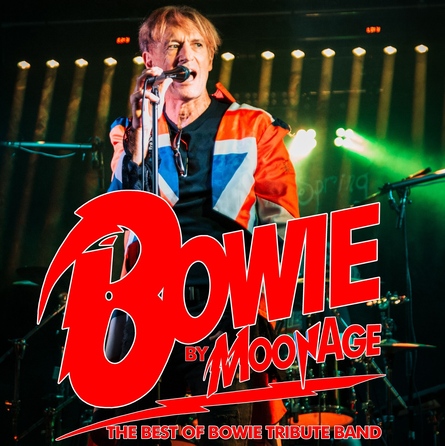 Moonage - Best of Bowie Tribute Band