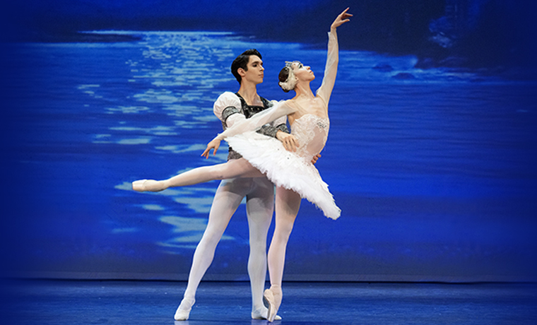 image of SWAN LAKE