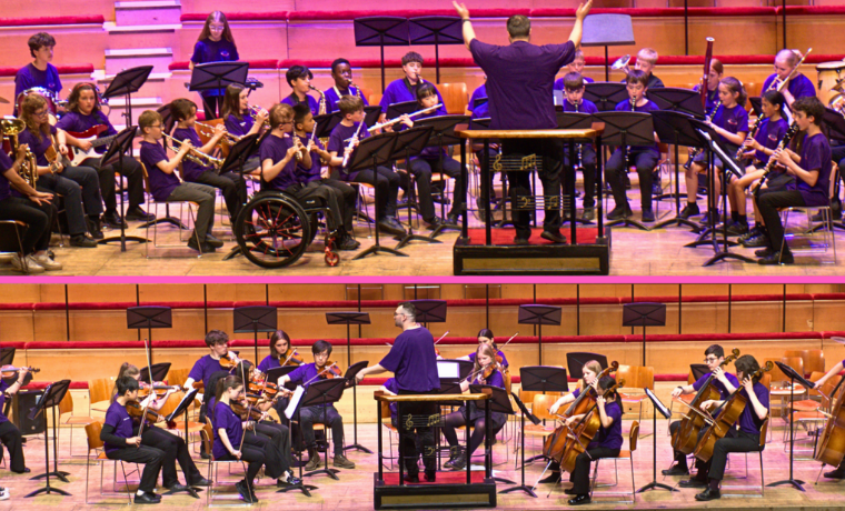 image of LEICESTERSHIRE MUSIC LEICS MAKE MUSIC FESTIVAL - STRINGS AND BAND