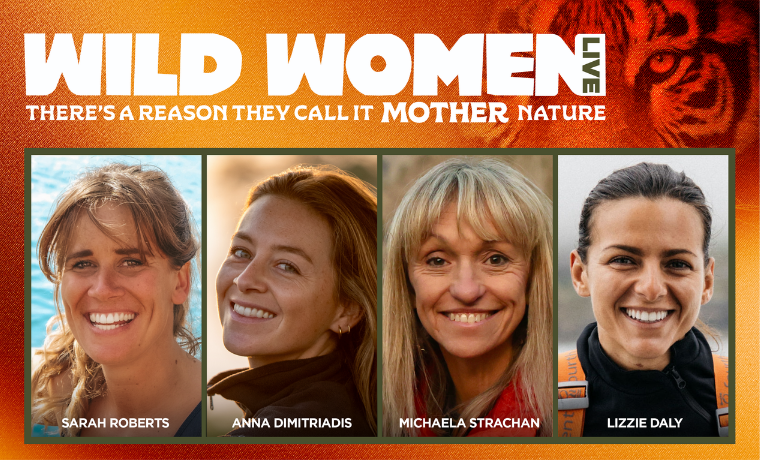 image of WILD WOMEN LIVE